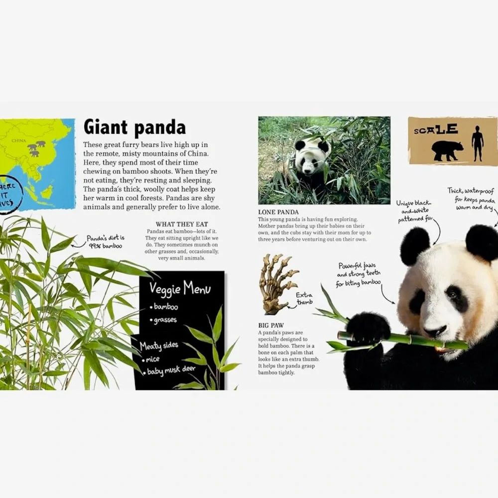 AMAZING GIANT WILD ANIMALS BOOK